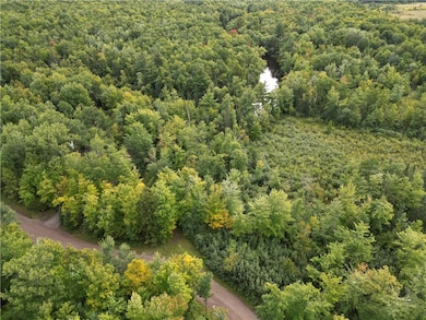 8+ Acres On Thornapple River, Ladysmith, WI 54848 - photo 4