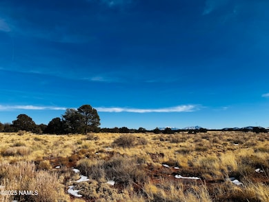 3584 E Wingfield Rd, Grand Canyon Junction, AZ 86046 - photo 2