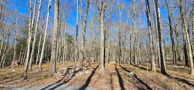 Lot 85 Perry Pond Rd, Tusten, NY 12764 - photo 4