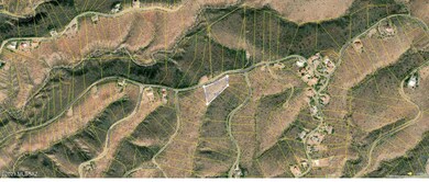 339 Camino Canoa Pic