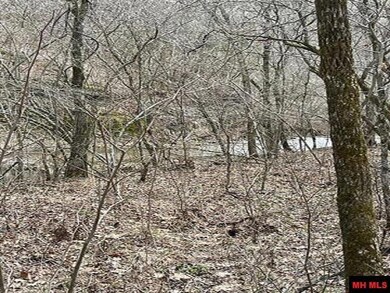 001-04964-003 Jimmie Creek Trail, Yellville, AR 72687 - photo 5