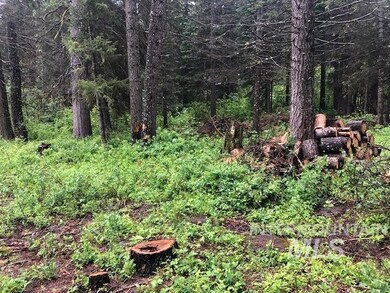 15 Heidi Ln, Cascade, ID 83611 - photo 6