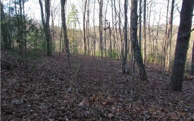 976 NE Raccoon Ridge Rd, Ranger, GA 30734 - photo 4