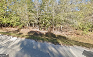 2 ACRES Sandy Ridge Rd, Millen, GA 30442 - photo 6