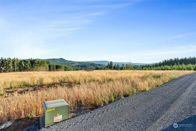 120 Brim Ridge Ln, Winlock, WA 98596 - photo 5