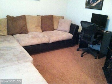 42937 Edgewater St, Chantilly, VA 20152 - photo 5