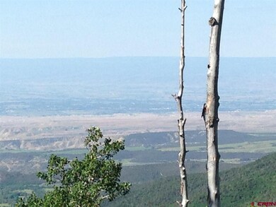 25889 Highway 65, Cedaredge, CO 81413 - photo 4