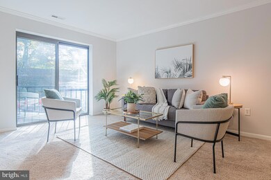 Sligo Station Condominium unit 220, Takoma Park, MD 20912 - photo 4