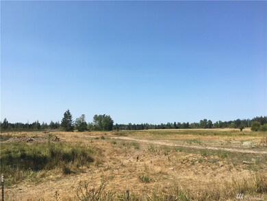 12841 Bald Hill Rd SE, Yelm, WA 98597 - photo 2