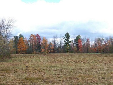 Exterior Front. Eastern tree line