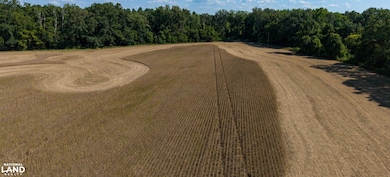 001 Smith Station Rd, Edwards, MS 39066 - photo 4