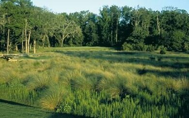 529 Marsh Hen Dr NE, Shellman Bluff, GA 31331 - photo 6