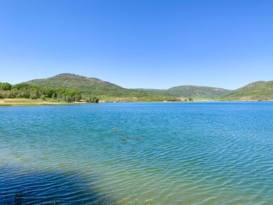 IMG_3970.jpg