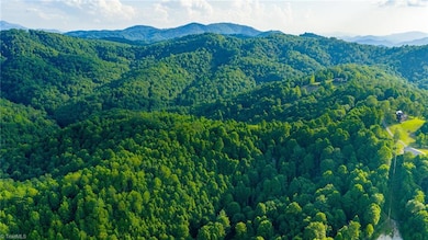 TBD 3 Big Laurel Rd, Creston, NC 28615 - photo 4