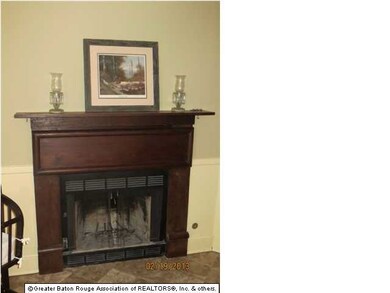 Wood burning fireplace
