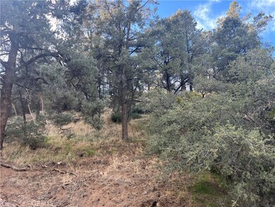 The two lots on Truman are downslope from the street.