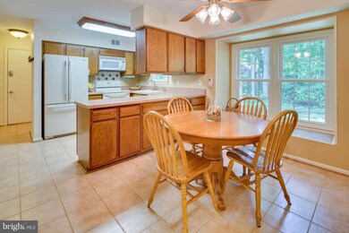 6029 Misty Arch Run, Columbia, MD 21044 - photo 3