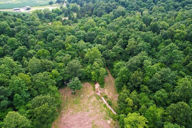 21202 State Highway Mm, Grassy, MO 63751 - photo 6