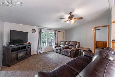 Living area featuring carpet flooring and a ceiling fan