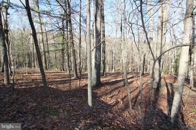Lot C-54 Trout Stream Rd, Lost River, WV 26810 - photo 3