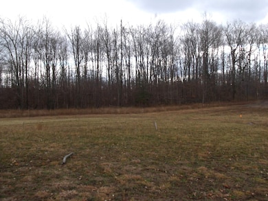 2327 Mcmichael Rd, Tuscarora Township, MI 49706 - photo 6