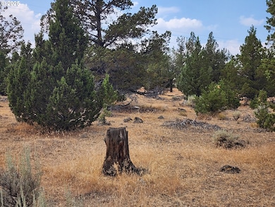 65432 78th St, Bend, OR 97703 - photo 7