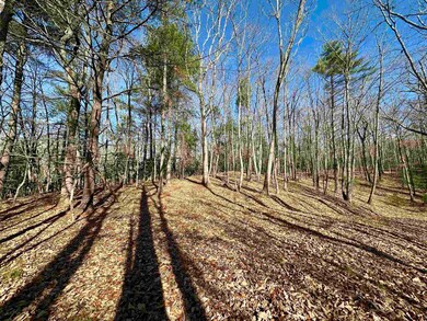 1258 Treetop Ridge Rd, Blacksburg, VA 24060 - photo 4