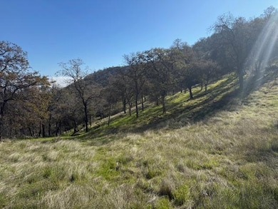 40 Big Springs Ln, Tollhouse, CA 93667 - photo 4