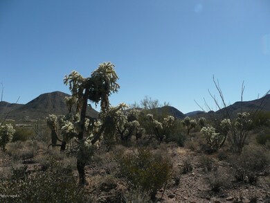 -Close up mountain views at South of Lot