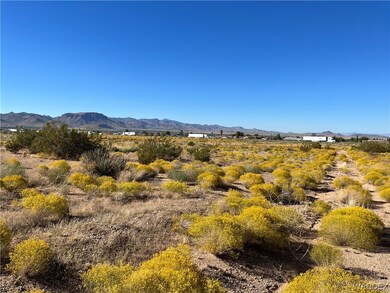 Looking Due North from Near SE Property Corner. Ap