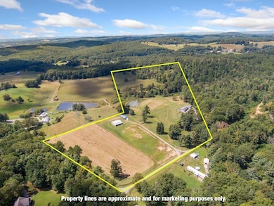 446 Good Neighbors Rd NE, Check, VA 24072 - photo 3