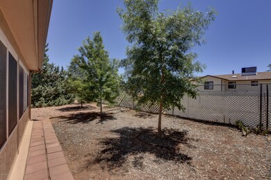 Back Yard 1