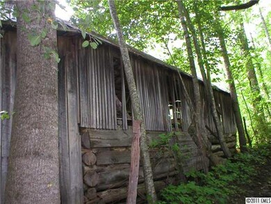 unlisted-address, Burnsville, NC 28714 - photo 4