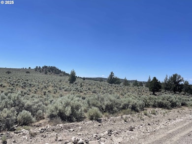 0 Benjamin Lake Rd unit L 502 528239259, Christmas Valley, OR 97641 - photo 4