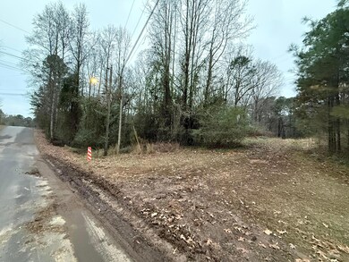 0 6th Ct NE, Vernon, AL 35592 - photo 5