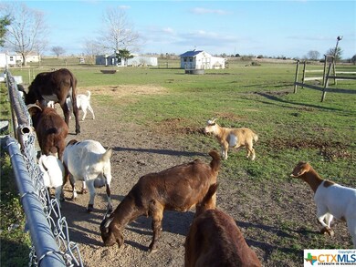 1559 Quail Run Dr, Troy, TX 76579 - photo 5