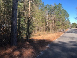 TBD Wolf's Thick Rd, Cordele, GA 31015 - photo 4