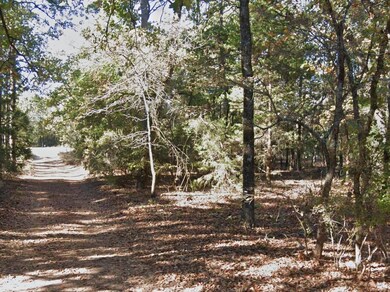 0 Kingfisher Dr, Winnsboro, TX 75494 - photo 7