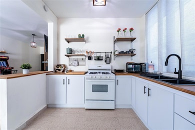 SR-101 POBLADO BOQUE Luis Muñoz Rivera, Cabo Rojo, PR 00623 - photo 4