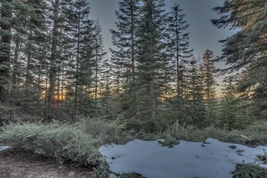 0 Prather Meadow Rd unit 225152963, Twain Harte, CA 95223 - photo 7