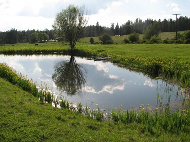 2551 Flowery Trail Rd, Chewelah, WA 99109 - photo 7