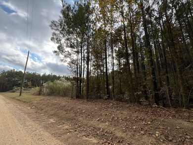 0 Sporsman Paradise Rd, Many, LA 71449 - photo 5