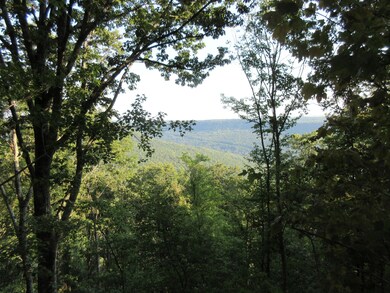 0 High Point Ln unit RTC2725042, Jasper, TN 37347 - photo 3