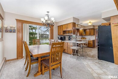 29400 34th Ave N, Hillsdale, IL 61257 - photo 6