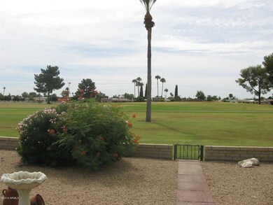 VIEW FROM BACK OF HOUSE.