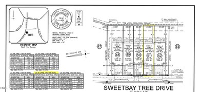 313 Sweetbay Tree Dr, Wendell, NC 27591 - photo 5