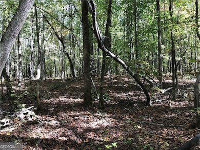 0 Coady Rd unit 10519792, Jackson, GA 30233 - photo 6