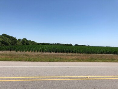 0 Spur 10 Rd unit 18281020, Rosenberg, TX 77471 - photo 4