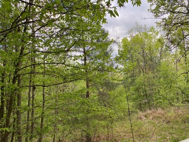 7 Crest Line Dr, Upatoi, GA 31829 - photo 5