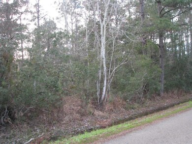 unlisted-address, Slidell, LA 70461 - photo 2